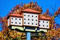 Large Birdhouse Condominium, Autumn Trees