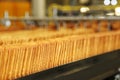 Large biscuit factory. A line of biscuits in a large factory. Packing crackers on the machine. Innovative production.