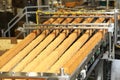 Large biscuit factory. A line of biscuits in a large factory. Packing crackers on the machine. Innovative production.