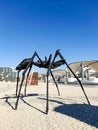 Large black ant as a symbol of architecture