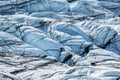 Large black bear walking across white ice of the Matanuska Glacier in Alaska Royalty Free Stock Photo