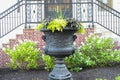 Large black iron urn planter Royalty Free Stock Photo