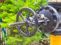 A large black iron water valve with rough peeling paint against a background of green bushes. Closeup photo Royalty Free Stock Photo