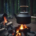 Large black kettle on hearth in a camp in the forest. bonfire at night.