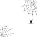 Large black spider with eyes and cobwebs on a white background