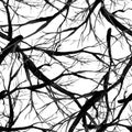 Large black and white branches, seamless pattern, monochrome watercolor illustration Royalty Free Stock Photo