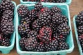 Large blackberries in market containers