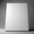 A large blank white canvas is set against a gradient gray backgroun Royalty Free Stock Photo