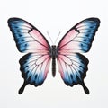 Large Blue Butterfly With Pink And Black Wings On White Background Royalty Free Stock Photo