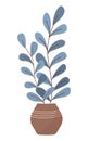 Large blue plant in a pot on a white isolated background. Vector flat illustration Royalty Free Stock Photo