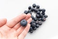 Large blueberry in hand. Fresh picked blueberries in group on white background