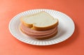 Large bologna sandwich with mustard