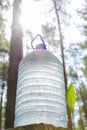 A large bottle of fresh, clean drinking water stands in the forest next to the sprouts of lily of the valley flowers Royalty Free Stock Photo