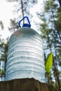 A large bottle of fresh, clean drinking water stands in the forest next to the sprouts of lily of the valley flowers Royalty Free Stock Photo