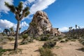 Large boulder and desert vegetation on a partly cloudy day in Joshua Tree National Park in California Royalty Free Stock Photo