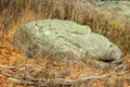 A large boulder on a grassy slope in fall Royalty Free Stock Photo