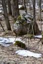 Large boulder and melting snow along hiking trail at Pretty River Valley