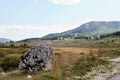 Large boulder overgrown with moss in a valley in Durmitor National Park