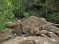 Cabin Creek in Grayson Highlands State Park