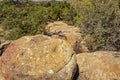 These large boulders are an entrance to a desert forest.