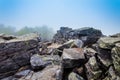 Large boulders in fog on Blackrock Summit, in Shenandoah National Park, Virginia.