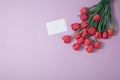 Bouquet of fresh spring tulips on the table with space top view mockap cartd. Royalty Free Stock Photo