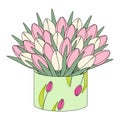 A large bouquet of colorful blooming tulips in circle box in cartoon flat style in trendy pale hues. Royalty Free Stock Photo