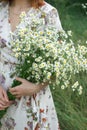 A large bouquet of daisies in the hands of a gentle girl. Girl in a flower meadow. Royalty Free Stock Photo