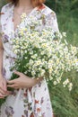 A large bouquet of daisies in the hands of a gentle girl. Girl in a flower meadow. Royalty Free Stock Photo