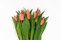 Large bouquet of fresh pink, purple, crimson, lilac tulips, isolated on white background Royalty Free Stock Photo