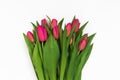 Large bouquet of fresh pink, purple, crimson, lilac tulips, isolated on white background Royalty Free Stock Photo