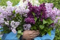 A large bouquet of lilacs and an elderly woman.