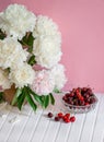 A large bouquet of peonies in a ceramic vase on the table, cherries in a bowl Royalty Free Stock Photo