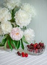A large bouquet of peonies in a ceramic vase on the table, cherries in a bowl. Royalty Free Stock Photo