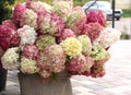 Large bouquet of pink and white hydrangea flowers