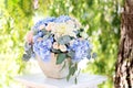 Large bouquet of roses, dahlias, hydrangeas, eucalyptus leaves in a clay pot Royalty Free Stock Photo