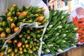 Large bouquets of tulips in white, red and orange color with large green leaves Royalty Free Stock Photo