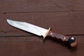 Large Bowie Knife Royalty Free Stock Photo