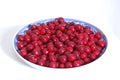 Large bowl of cherries Royalty Free Stock Photo