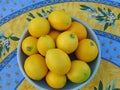 Large bowl of fresh lemons on a bright patterned cloth, evoking a Mediterranean summer Royalty Free Stock Photo