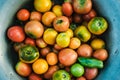 Large bowl with freshly harvested red, yellow and green tomatoes