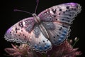 A large bright butterfly sits on a flower. generative AI tools