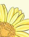 Large bright gerbera. Part of a garden flower.Vector. Yellow bright flower Royalty Free Stock Photo