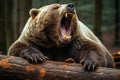 a large brown bear with its mouth open