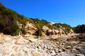 Large brown cliffs at the beach covered with lush green trees, grass and plants and colorful flowers Royalty Free Stock Photo