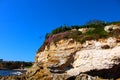 Large brown cliffs at the beach covered with lush green trees, grass and plants and colorful flowers Royalty Free Stock Photo