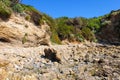 Large brown cliffs at the beach covered with lush green trees, grass and plants and colorful flowers Royalty Free Stock Photo