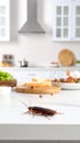 Large brown cockroach crawling on a pristine kitchen surface representing unwanted pests and poor sanitation Royalty Free Stock Photo