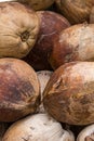 Large brown coconut weathered shabby close-up background flora base