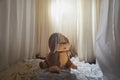 Large brown dog toy in a darkened room bedroom with smoke or fog and fabric curtains Royalty Free Stock Photo